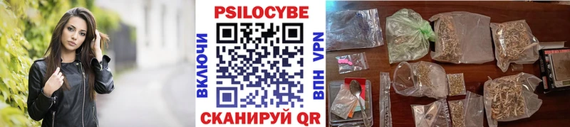 дарк нет телеграм Сочи Псилоцибиновые грибы Psilocybine cubensis
