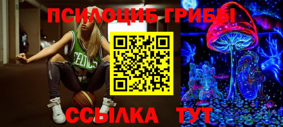 Псилоцибиновые грибы Cubensis Сочи