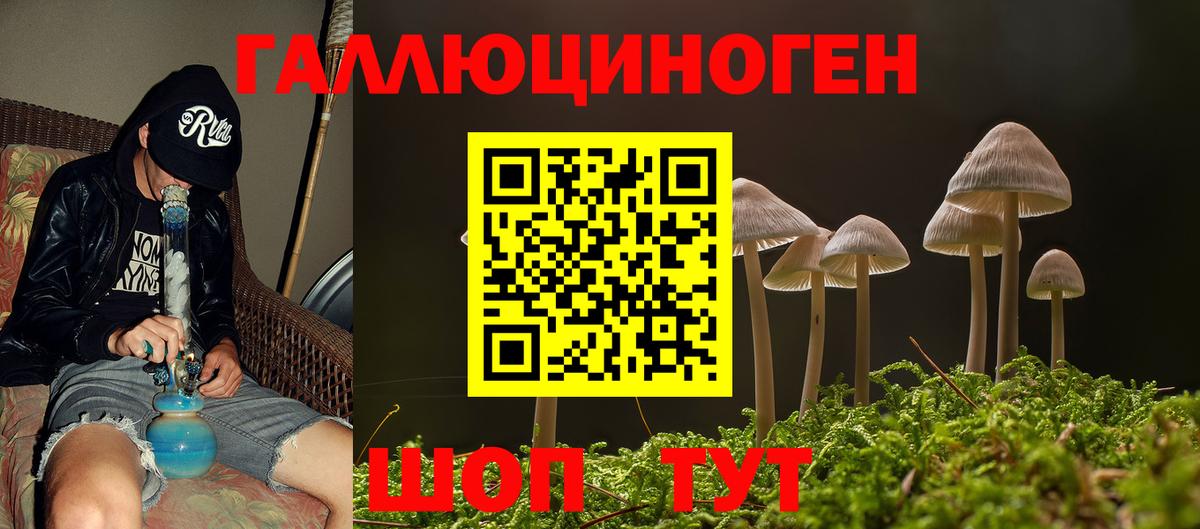 Сочи  Псилоцибиновые грибы прущие грибы  Вход с VPN 
